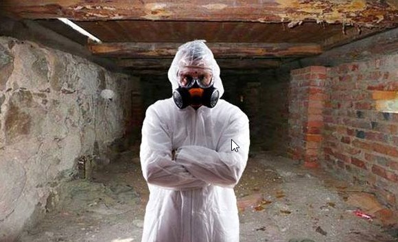 дератизация подвалов в Калининграде