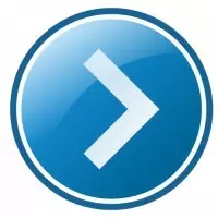 Мы предоставляем услуги дератизации